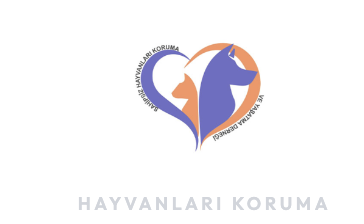 Initiative for Youth Future